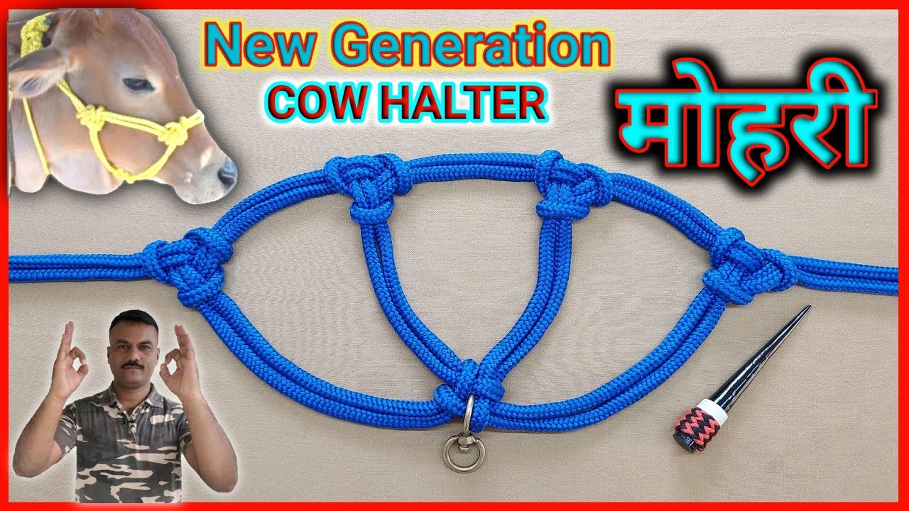 मोहरी कैसे बनाए | मोरखी कशी बनवावी | Make a new generation rope halter | mohri 