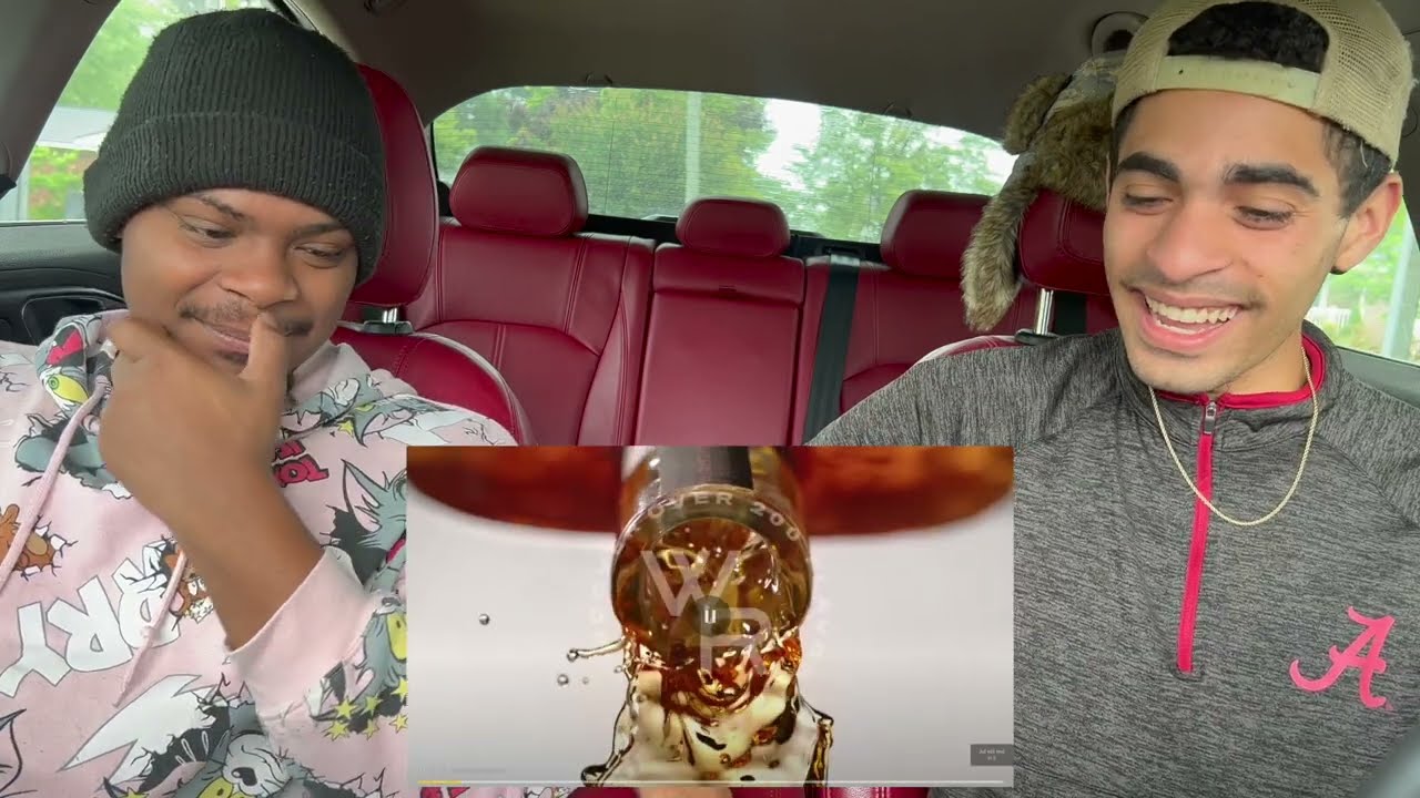 STOP MESSING WITH HER!! CHINCHILLA - ELEMENTS (REACTION)