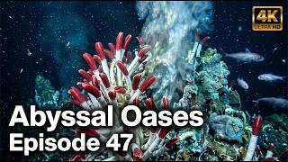 Abyssal Oases | Episode 47 | AI Wildlife Documentary | Algorithm's Eyes