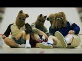 DownTownLove - oops cool(Official Music Video)