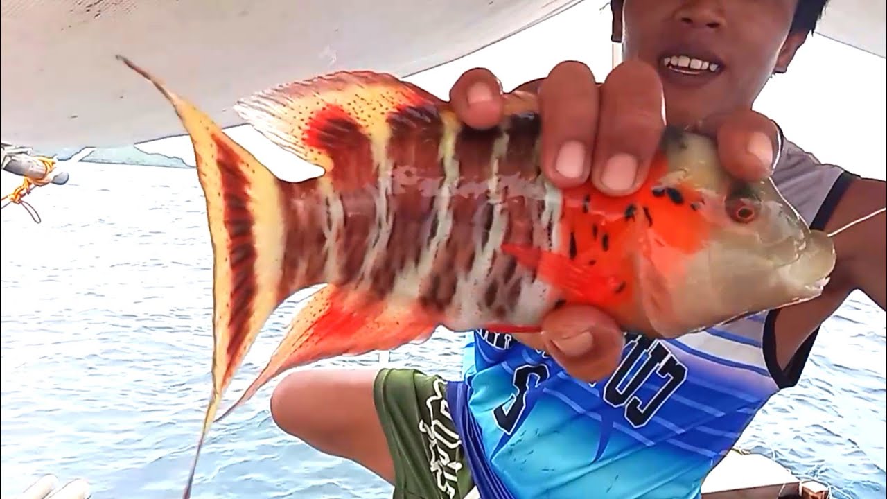 hindi-inaasahan-makahuli-tayo-ng-ganito-youtube