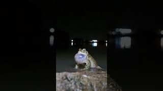 Así Celebro San Valentín Ía