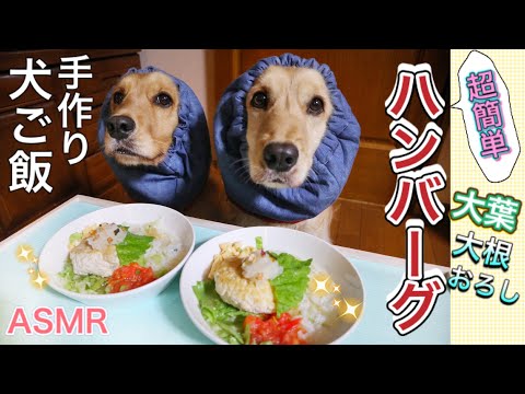 超簡単！手作り犬ご飯～チキンハンバーグ【作り方/咀嚼音/ASMR】