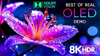 8K Hdr 60Fps Dolby Visionda Oledi̇n En İyi̇si̇