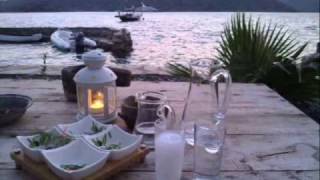 Turan Sekmen Haydar Haydar