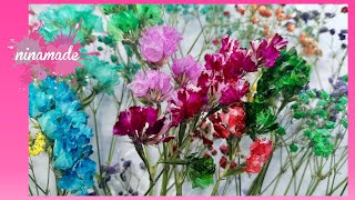 DIY. Increíble !! Cómo Tintar Flores Naturales!! // Amazing How To Dye Flowers