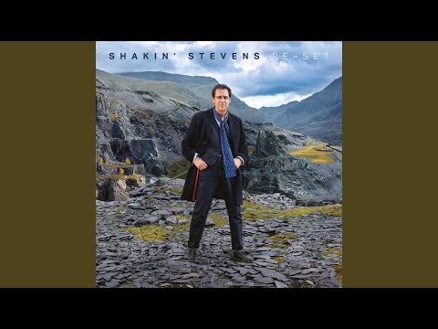 Shakin' Stevens — Not in Real Life