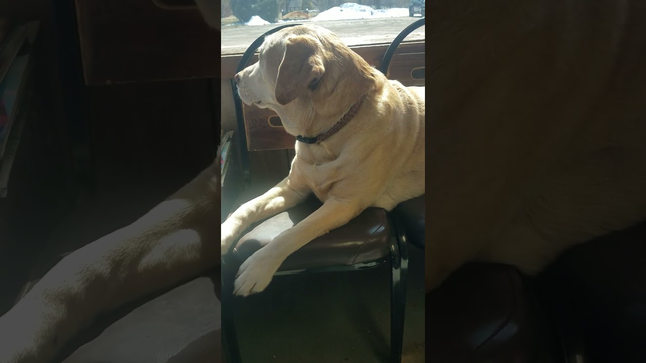 🎵Mr. Big,🎵Knows About Waiting in a Line!! My Advice: don't get caught in the undertow-toe🌊JAM!🌊🏄‍♂️🌊