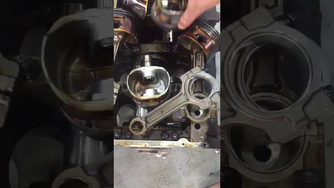 ذراع البستم ملوح من النادر حصوله احترافية الفحص