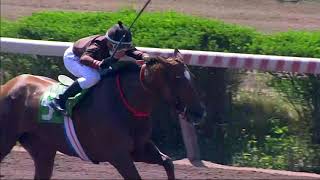 Vidéo de la course PMU PRIX AMANI