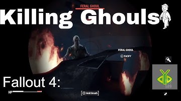 Fallout 4: THE BRUTAL KILLING OF GHOULS