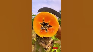 Most Unique and Unbelievable Fruits & Food #226 #Shorts