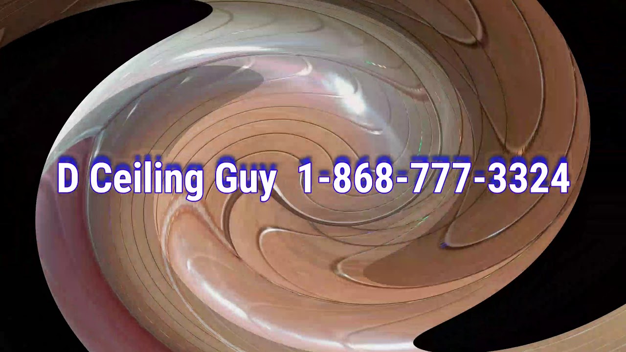 D Ceiling Guy  