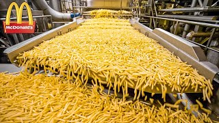 COMO AS BATATAS FRITAS DO MCDONALD'S SÃO FEITAS. PRODUÇÃO DE ALIMENTOS