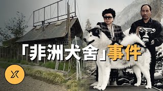 愛犬夫婦寵物店裡藏著祕密，埼玉連續失蹤事件 | X調查