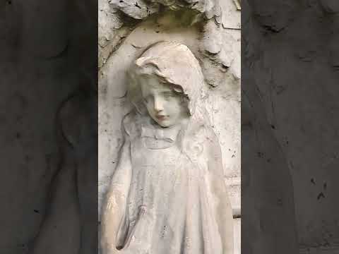 Palermo Caperucita #barriodepalermo #caperucita #palermo