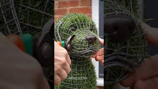 🌿 Smart Gardening Tips in 30 Seconds! Learn easy ways . 🌱 #GardenTips
