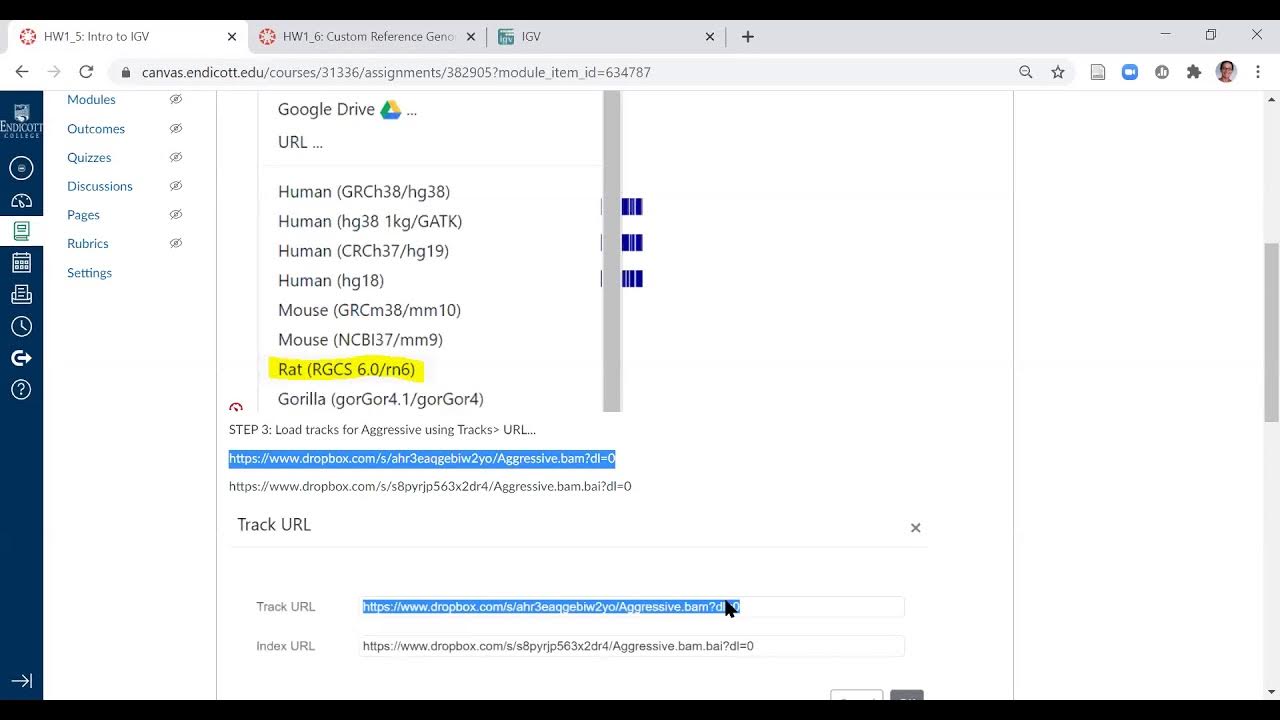 HW1_5 and HW1_6 How to IGV  Application to View BAM files YouTube