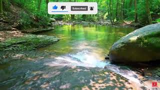 Amazing Natural Sounds, Calm Forest Sounds, Bird Singing, Babbling Brook, ASMR