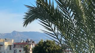 Guten Morgen Aus Side. Türkei Im Winter 2026 Öy Ürkei Ürkei