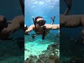 This is seriously impressive 😍 #underwater #beach #ocean #fyp