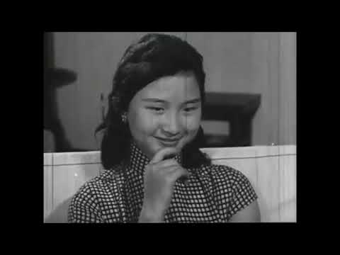 台中 醉月樓 by 1958年王哥柳哥遊台灣