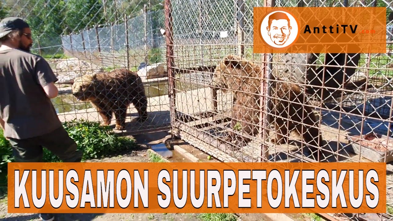 Kuusamon suurpetokeskus - Nallukat kuvissa vuonna 2020