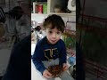 2 мая 2026 г.