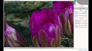 Adobe After Effects Advanced - Camera RAW Time Lapse Sequences