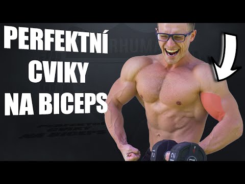 NEJLEPŠÍ 3 CVIKY NA BICEPS PRO VELKÝ OBJEM