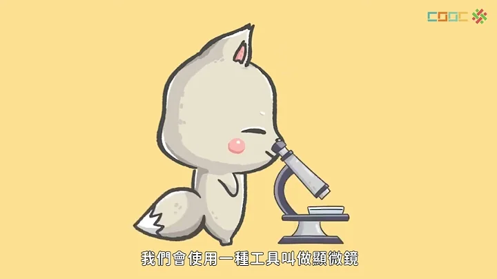 【暖身】細胞的發現 - 天天要聞