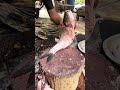 Rohu Fish Cutting 🔥 Satisfying Knife Skills #shorts