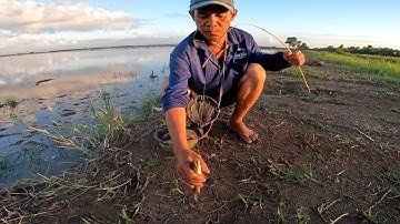 P.2-tiếp tục thăm câu buổi sáng của cuộc hành trình 9 tiếng đi kiên giang cắm câu/GLQ