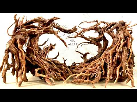 Video Hoàn thiện layout rừng rậm - youtube