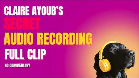 🚨🔊 FULL AUDIO (NO COMMENTARY): The Steve Sarowitz & Claire Ayoub Recording 🚨🔊