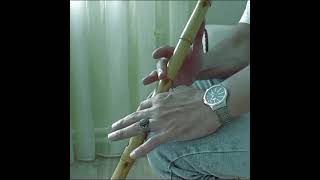 Bahçede Yeşil Çınar/Celal Güzelses/Sevcan Orhan/Hüseyin Turan/Zara/Oğuz Aksaç/Diyarbakır Yöresi