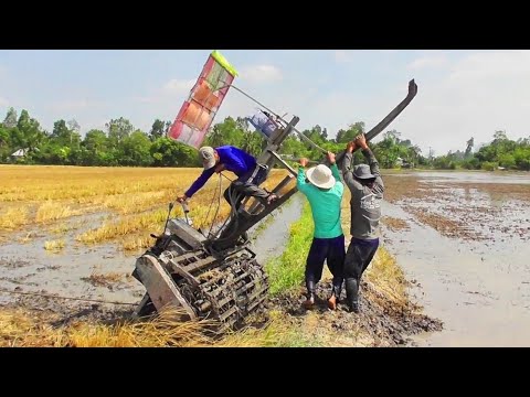 Video: Máy Trục