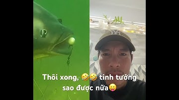 Cận cảnh cá chép khôn lỏi bị dính đòn🤣🤣 #fishing #caucathugian #shorts #toanfishing47