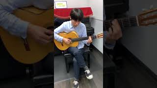 Luiz Bonfá - The Gentle Rain   (cover)