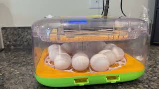 Incubator for Hatching Eggs, Temperature and Humidity Control, Automatic and Adjustable Egg Turning