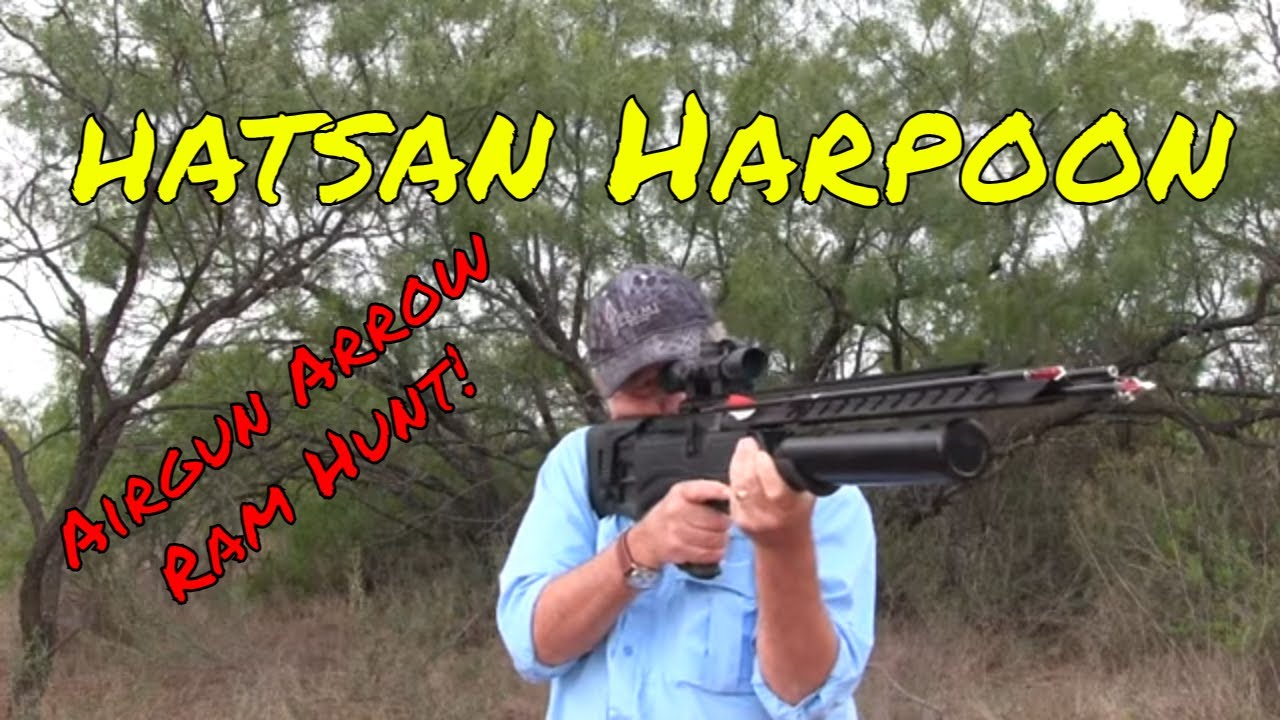 Hatsan Harpoon Ram Hunt: Arrow Launching Airgun!