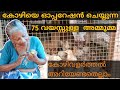 കോഴി വളർത്തൽ അറിയേണ്ടതെല്ലാം / കോഴി കൃഷി /kozhi valarthal