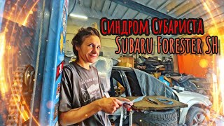 видео: Синдром Субариста: Турбо Форестер  картинка: Синдром Субариста: Турбо Форестер