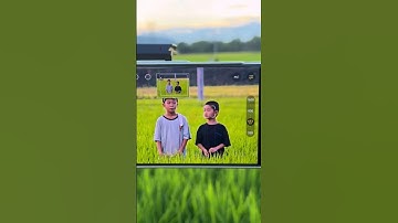 Vivo X300 Pro Review | 200MP Camera & Zoom Test 🔥