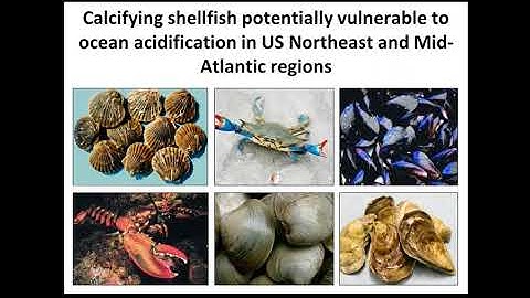 Leveraging the IOOS Regional Associations to Achieve Ocean Acidification Program (OAP) Goals