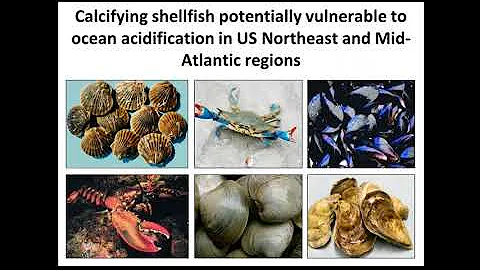 Leveraging the IOOS Regional Associations to Achieve Ocean Acidification Program (OAP) Goals