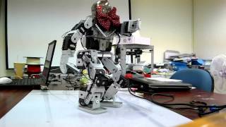Bioloid Robot Dance Balance Test