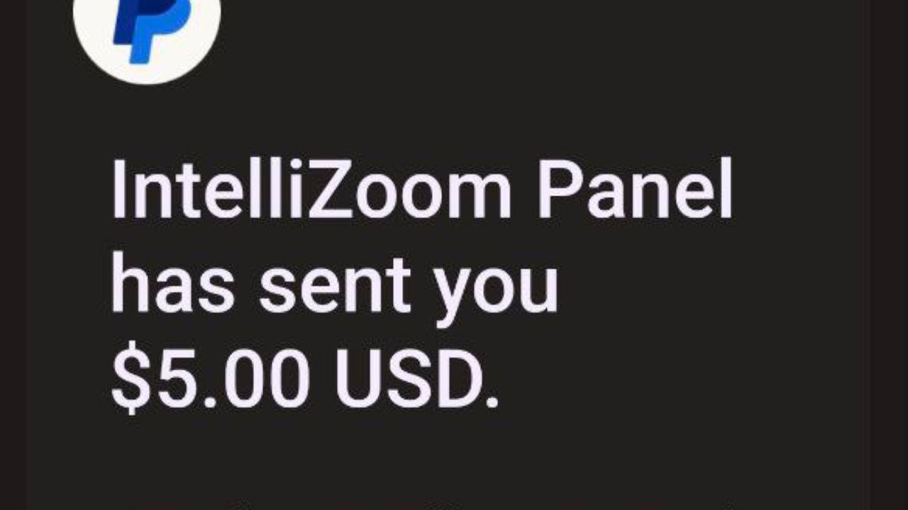 INTELLIZOOM PANEL / PAYMENT PROOF / INTELLIZOOM PAYPAL PAYMENT PROOF