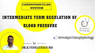 Intermediate term Regulation of Blood Pressure
