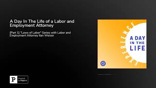 A Day In The Life of a Labor and Employment Attorney